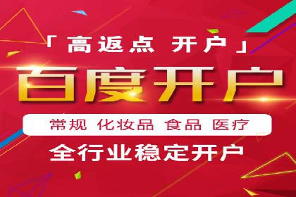 百度推广中SEO优化的成功案例分析